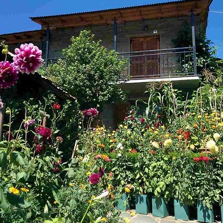 Guesthouse Gouris Cepélovo Kültér fotó
