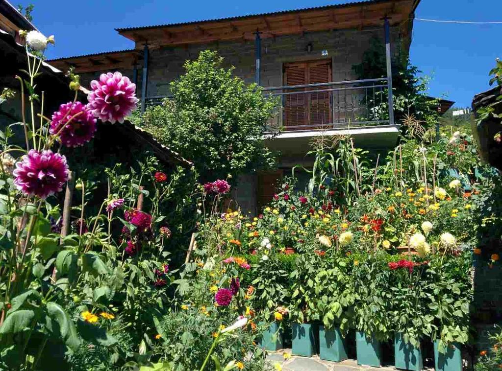 Guesthouse Gouris Cepélovo Kültér fotó