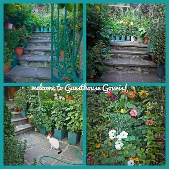 Guesthouse Gouris Cepélovo Kültér fotó