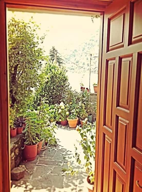 Guesthouse Gouris Cepélovo Kültér fotó